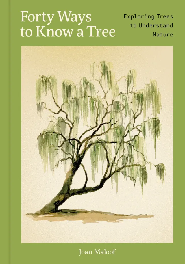 Games Room Forty Ways to Know a Tree naturbok träd