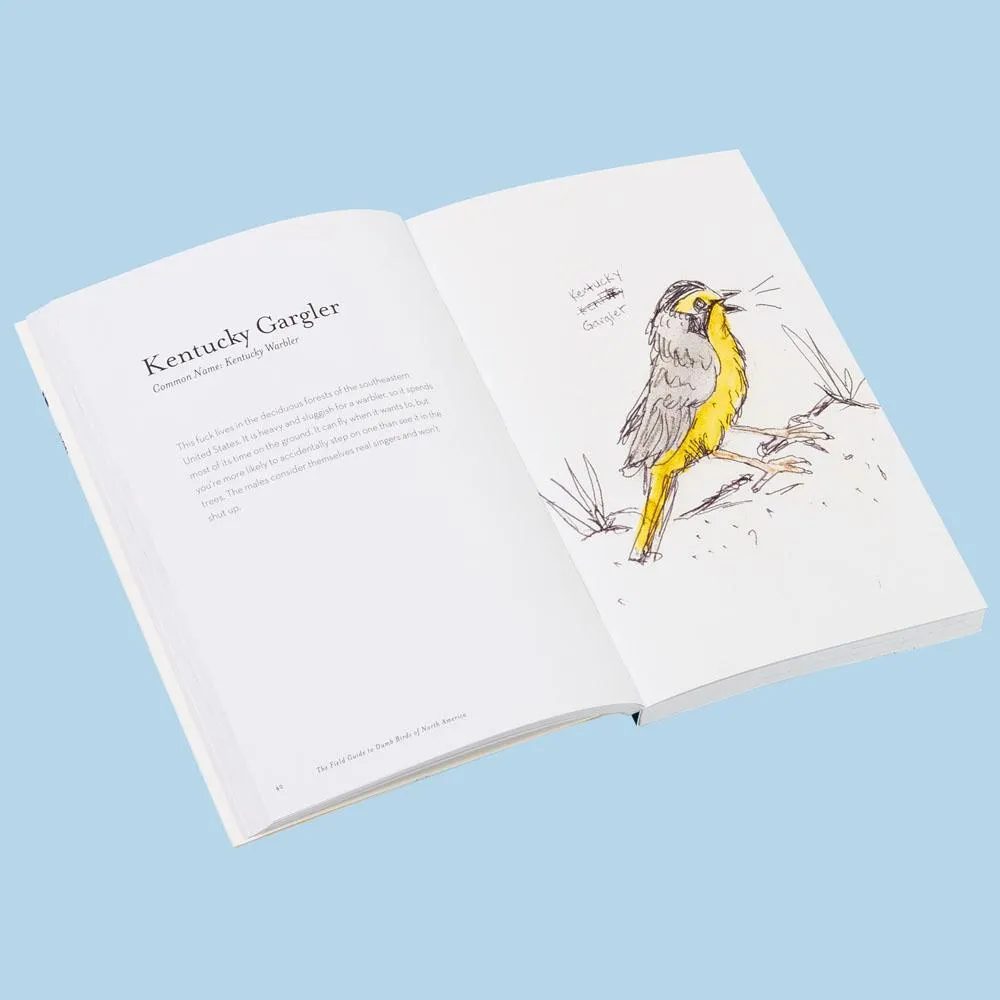 Games Room Field Guide to Dumb Birds of North America bok