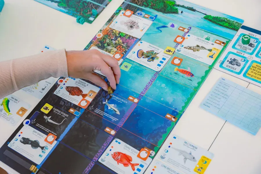 Finspan svensk utgåva strategispel 2-4 spelare