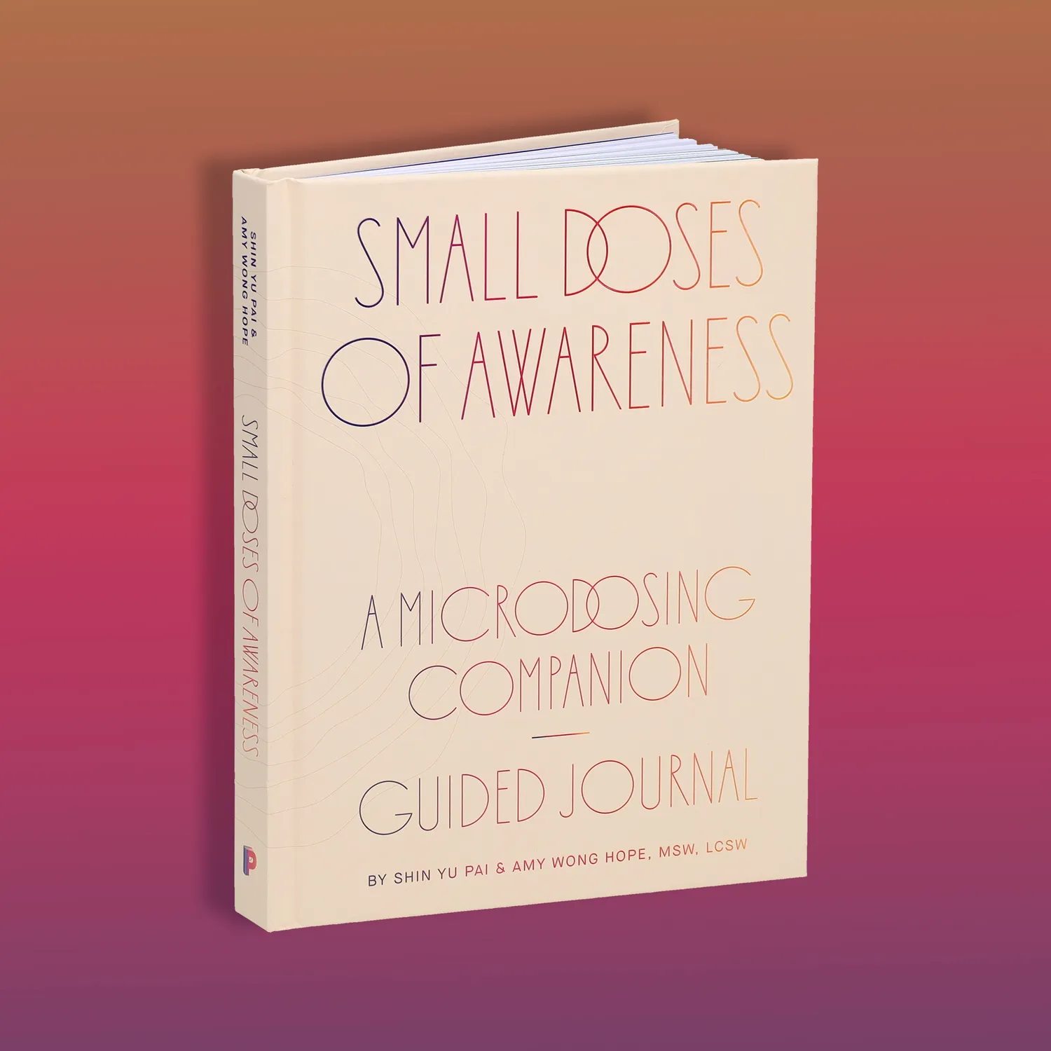 Games Room Small Doses of Awareness journal 12 veckor