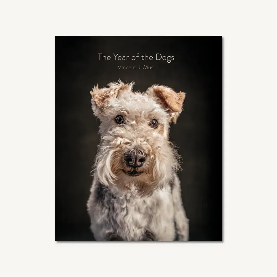 Games Room Year of the Dogs fotobok hundar