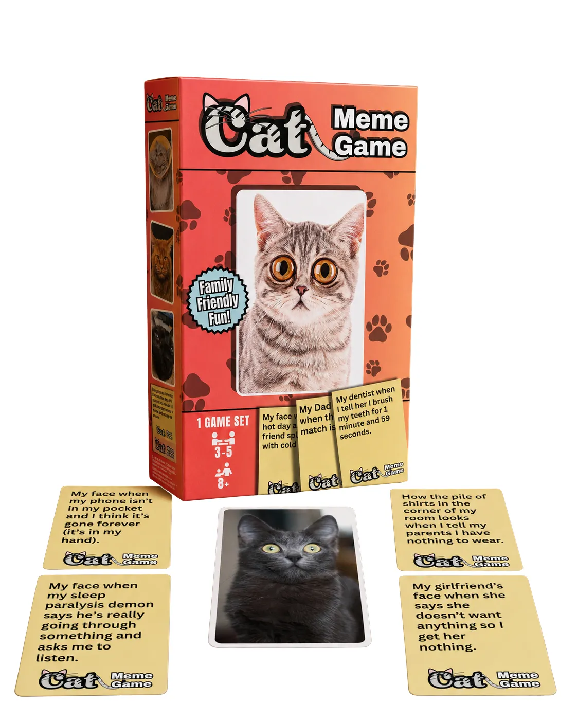 Wilder Games Cat Meme Game partyspel 90 kort