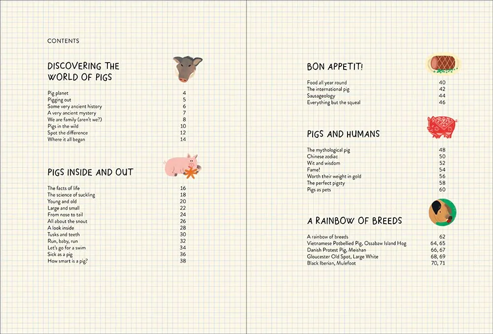 Games Room Pigology bok grisfakta