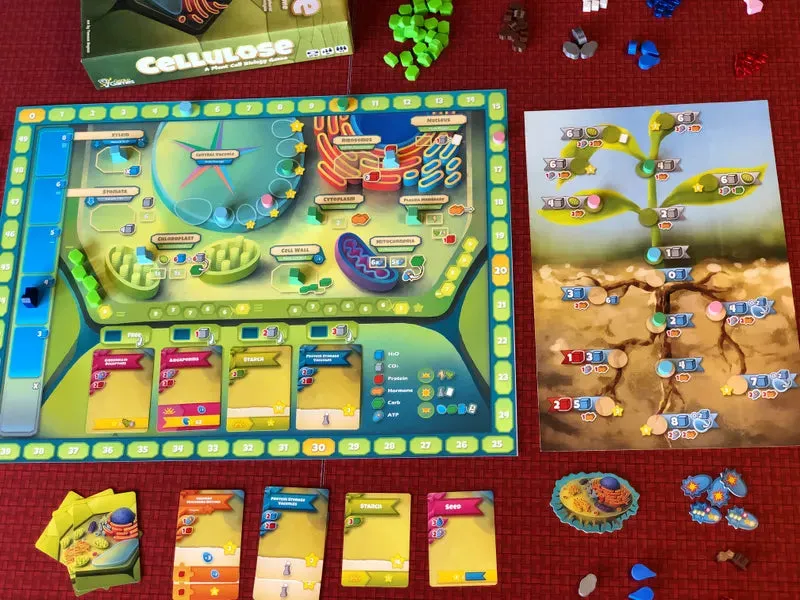 Genius Games Cellulose brädspel strategi 1-5 spelare