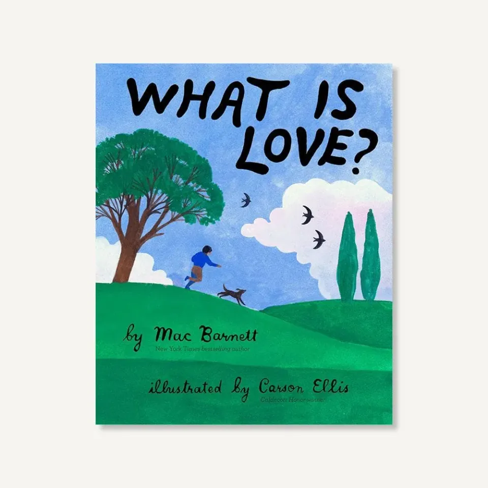 Games Room What Is Love? bilderbok 3–5 år