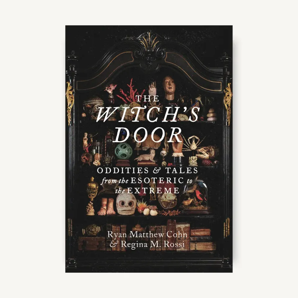 Games Room The Witch's Door bok oddities samlare