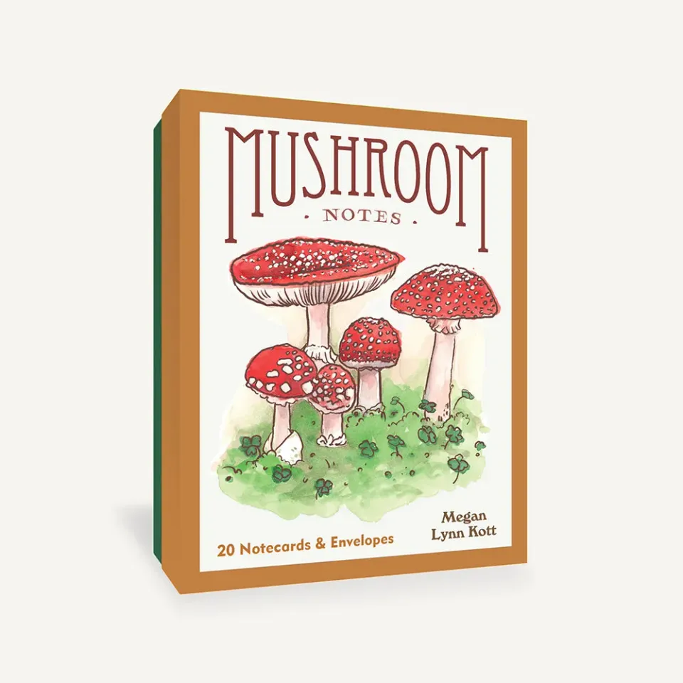 Games Room Mushroom Notes kortset 20 svampkort