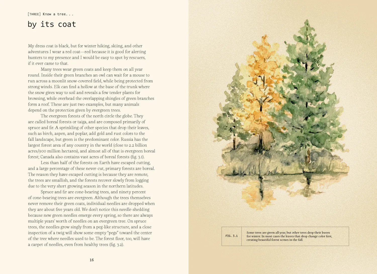 Games Room Forty Ways to Know a Tree naturbok träd