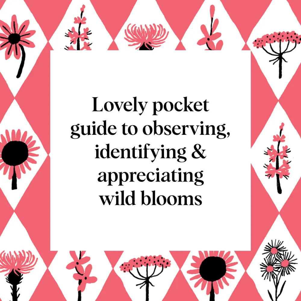Games Room Pocket Nature Flower Finding blombok vildblommor