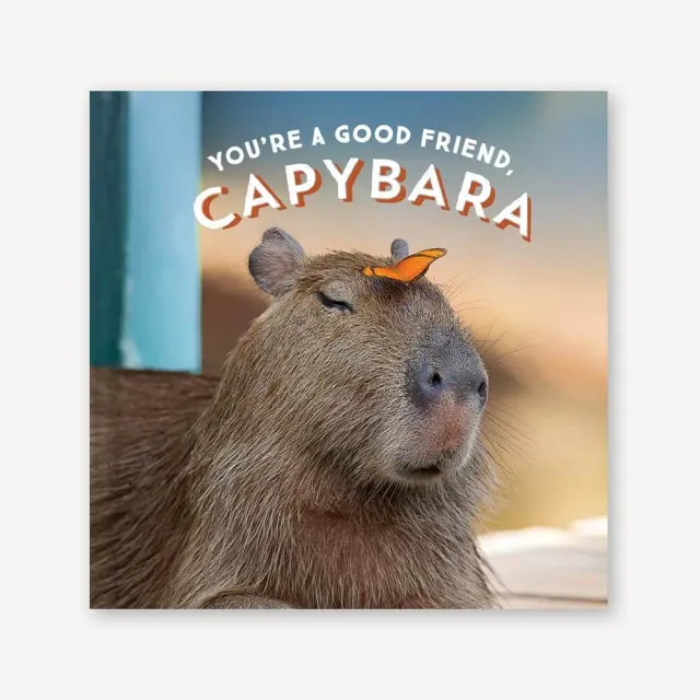 Games Room Youre a Good Friend Capybara presentbok