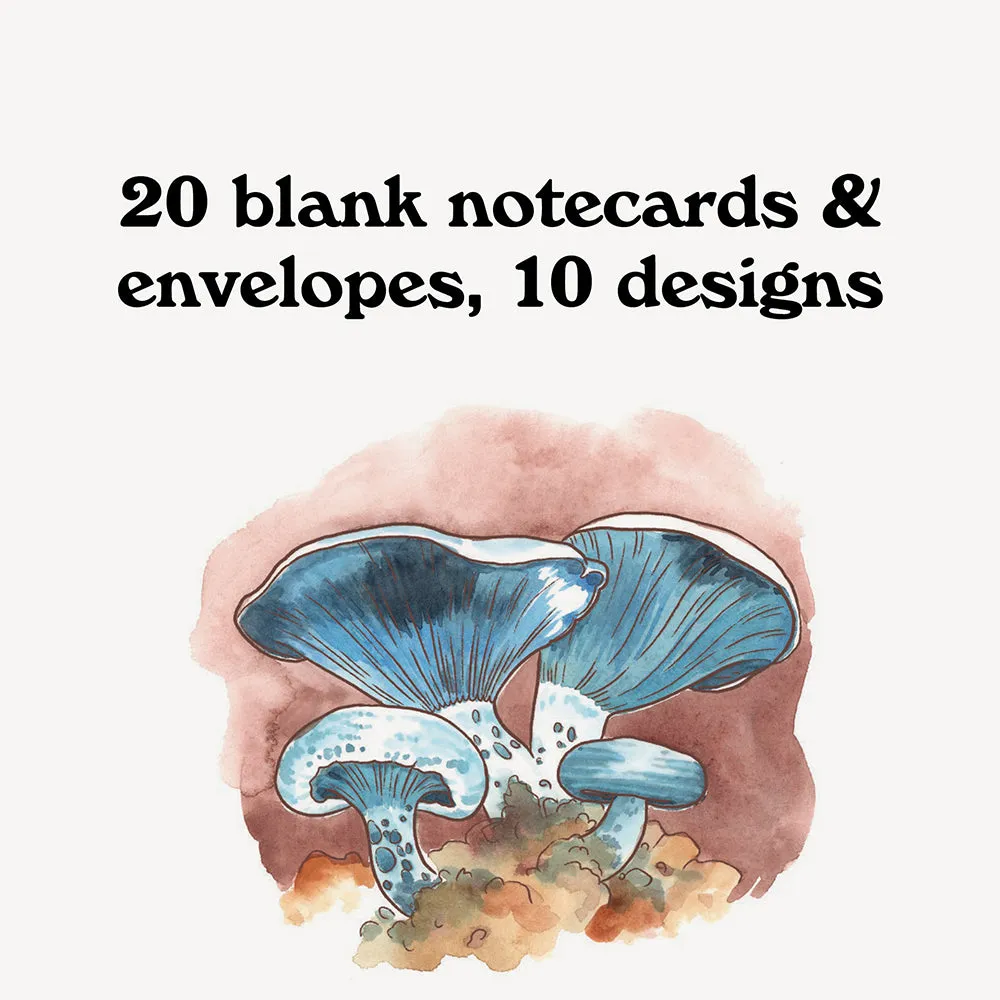 Games Room Mushroom Notes kortset 20 svampkort