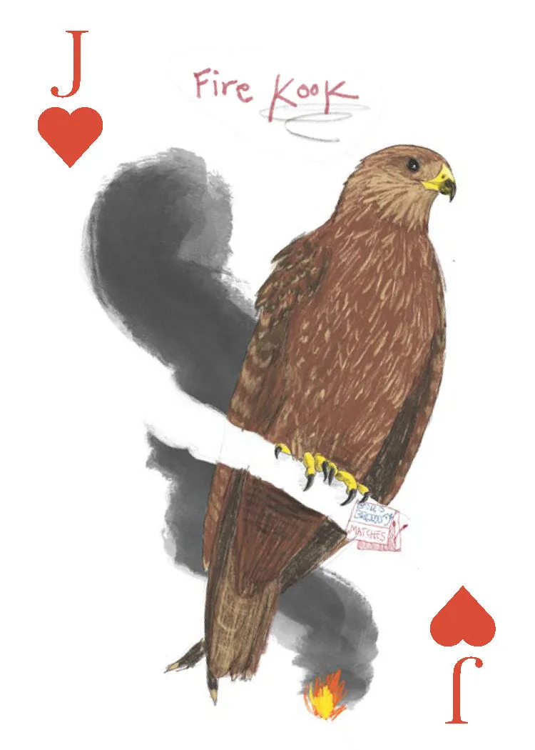 Games Room Field Guide to Dumb Birds spelkort 2 lekar