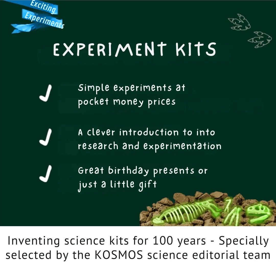 Kosmos Glow T.REX grävkit självlysande skelett