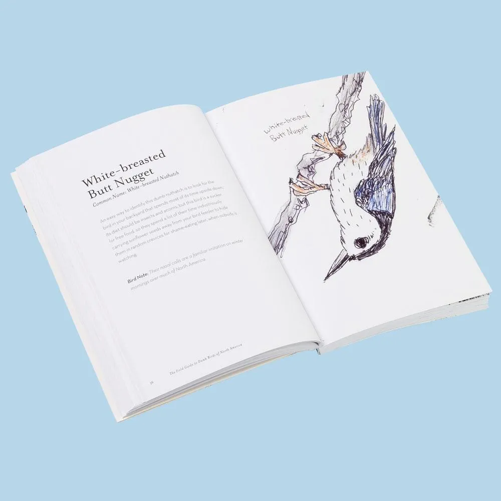 Games Room Field Guide to Dumb Birds of North America bok