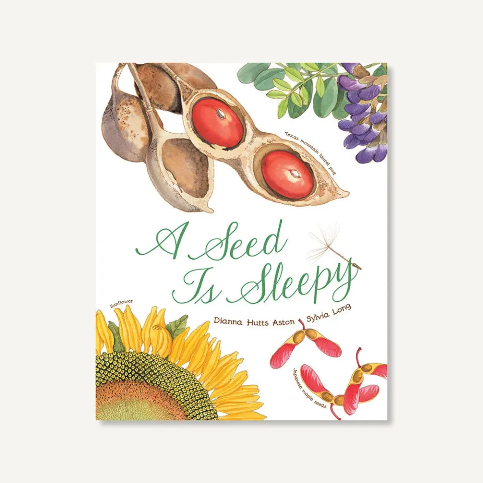 Games Room A Seed Is Sleepy bilderbok frön natur pocket