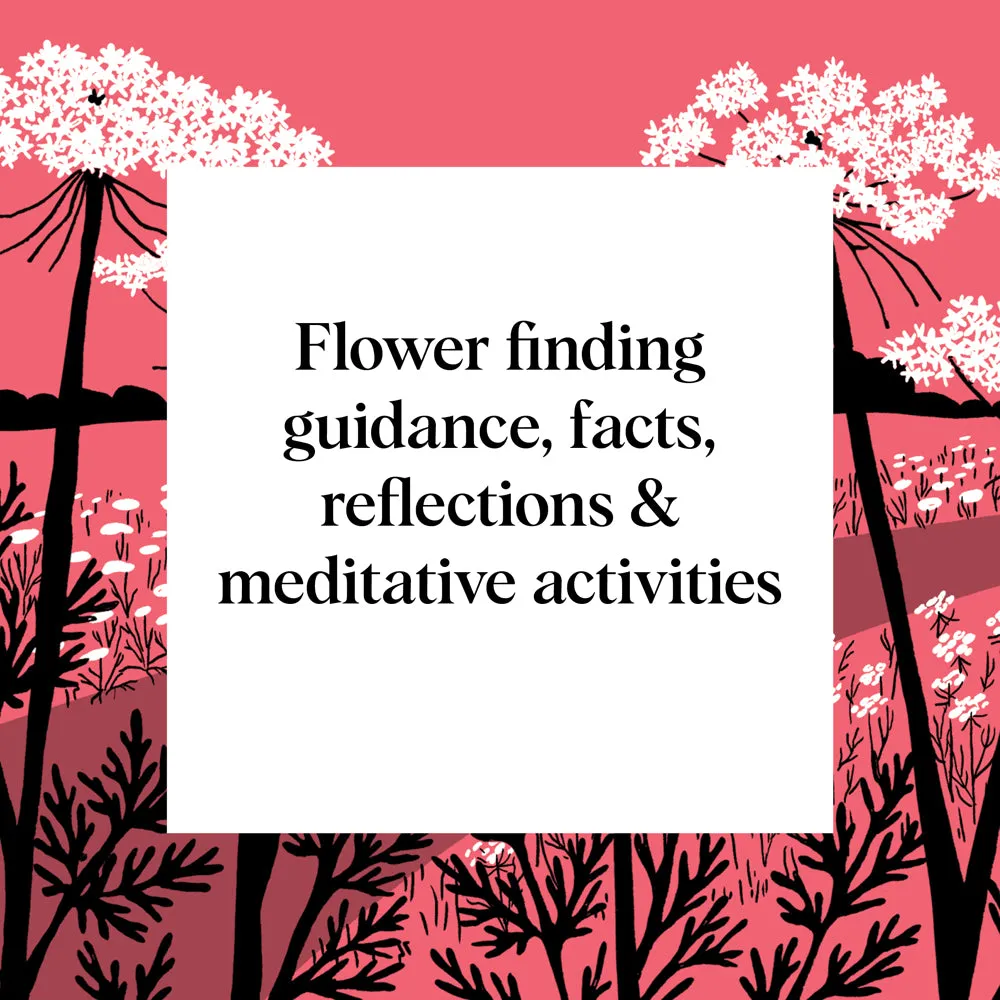 Games Room Pocket Nature Flower Finding blombok vildblommor