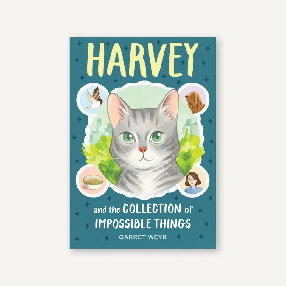 Games Room Harvey Impossible Things kapitelbok