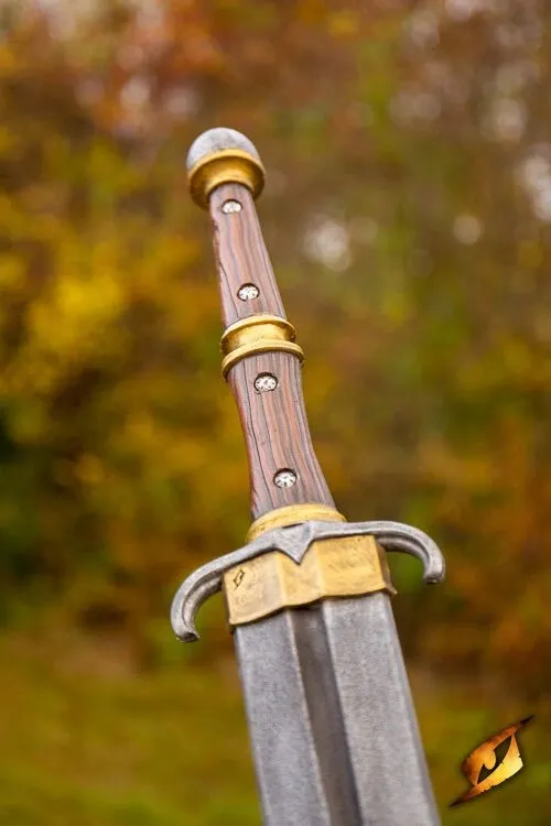 Dragon's Lair Mercenary Sword Vanguard lajvsvärd 100 cm