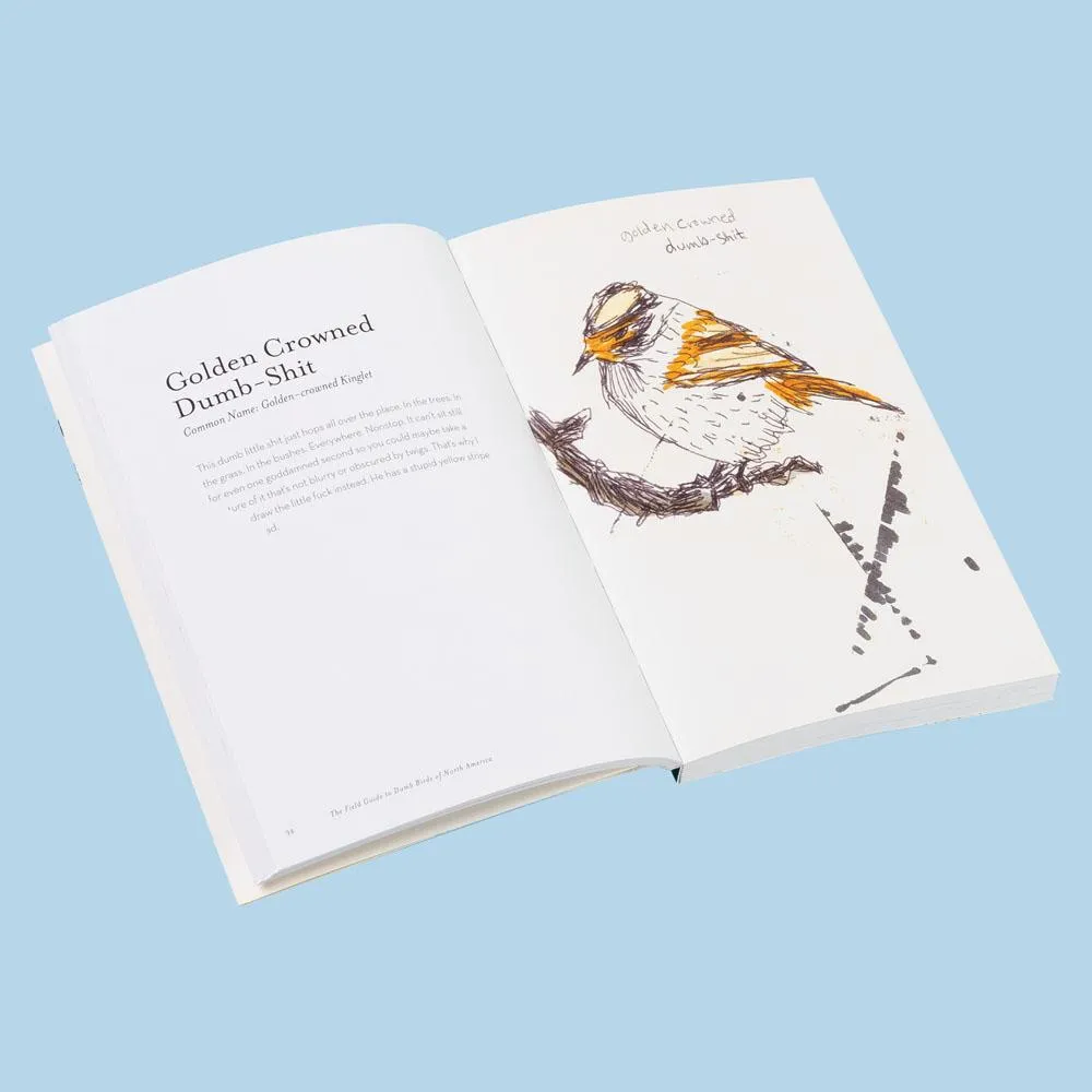 Games Room Field Guide to Dumb Birds of North America bok