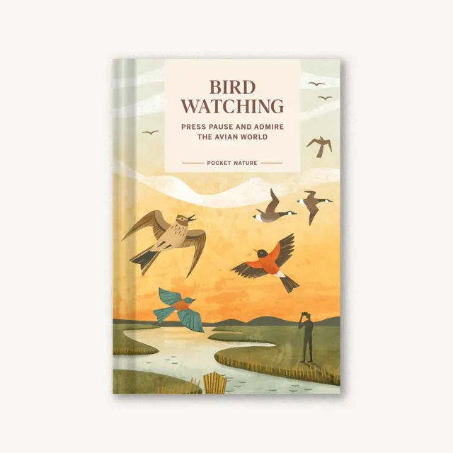 Games Room Pocket Nature Bird-Watching fågelbok nybörjare