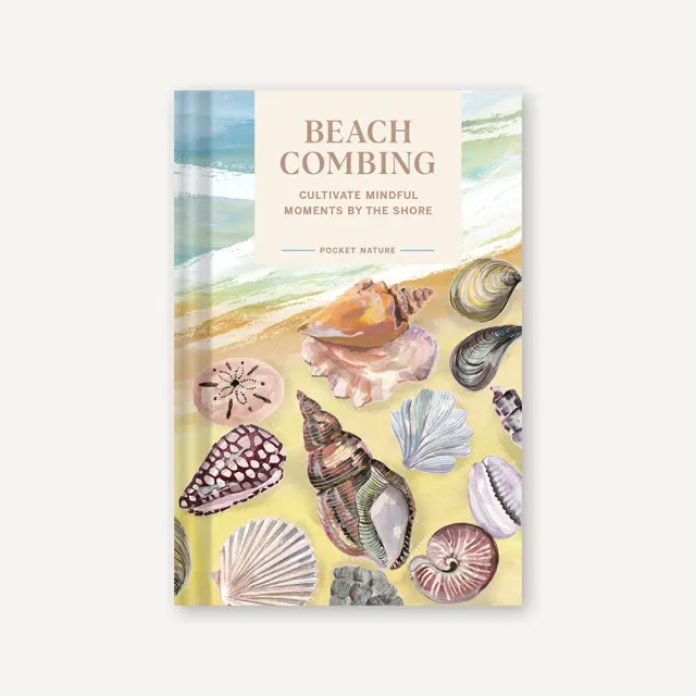 Games Room Pocket Nature Beachcombing bok mindfulness strand