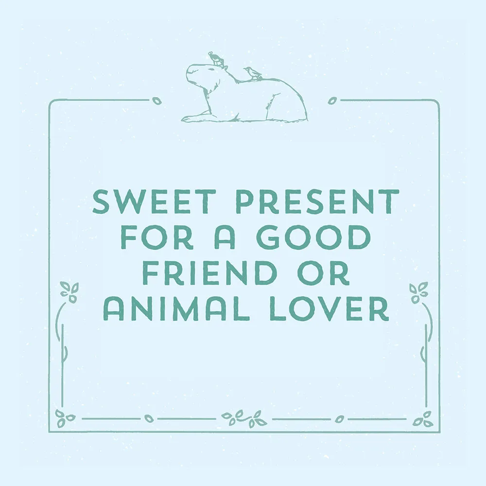 Games Room Youre a Good Friend Capybara presentbok