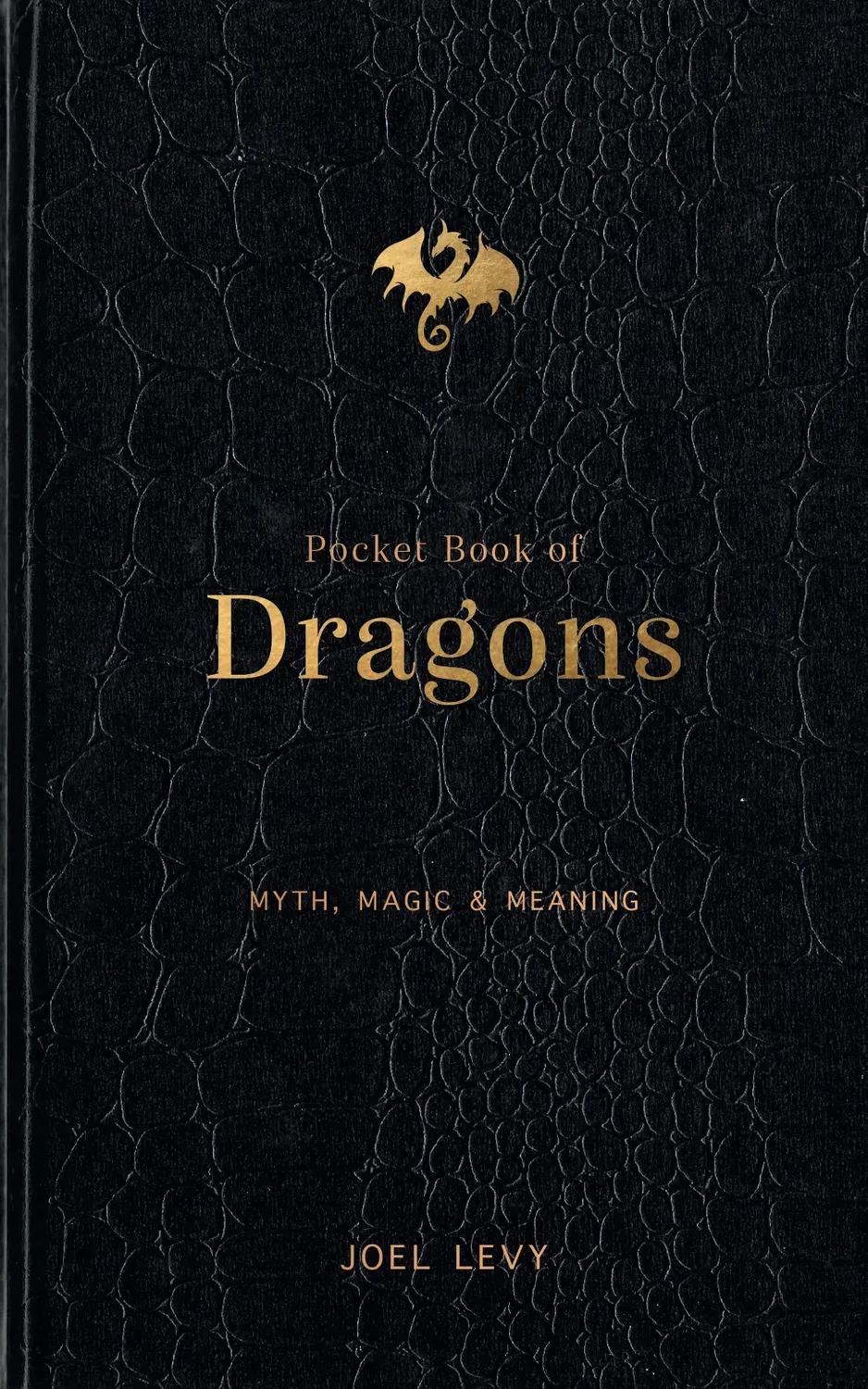 Games Room Pocket Book of Dragons bok om drakar