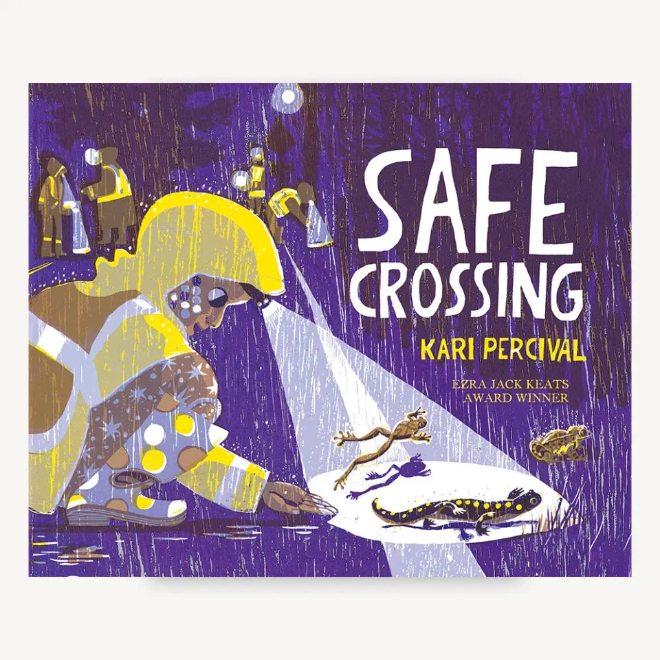 Safe Crossing bilderbok grodor salamandrar natur