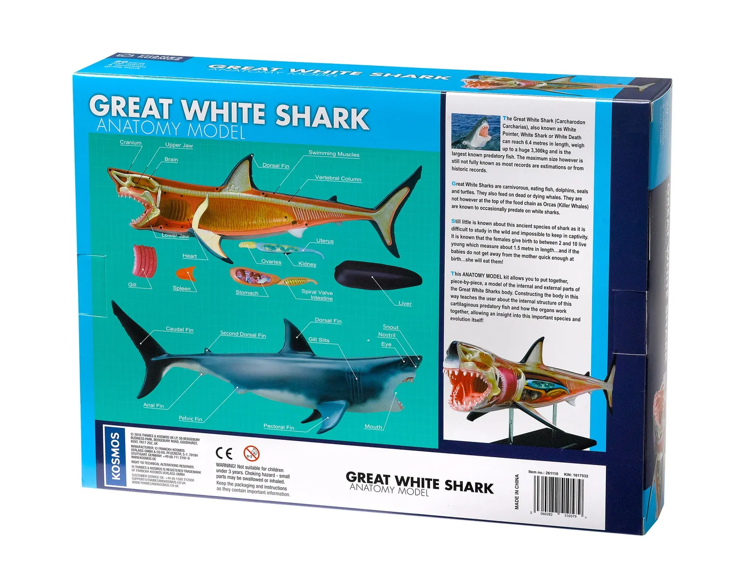 Kosmos Great White Shark anatomimodell vithaj