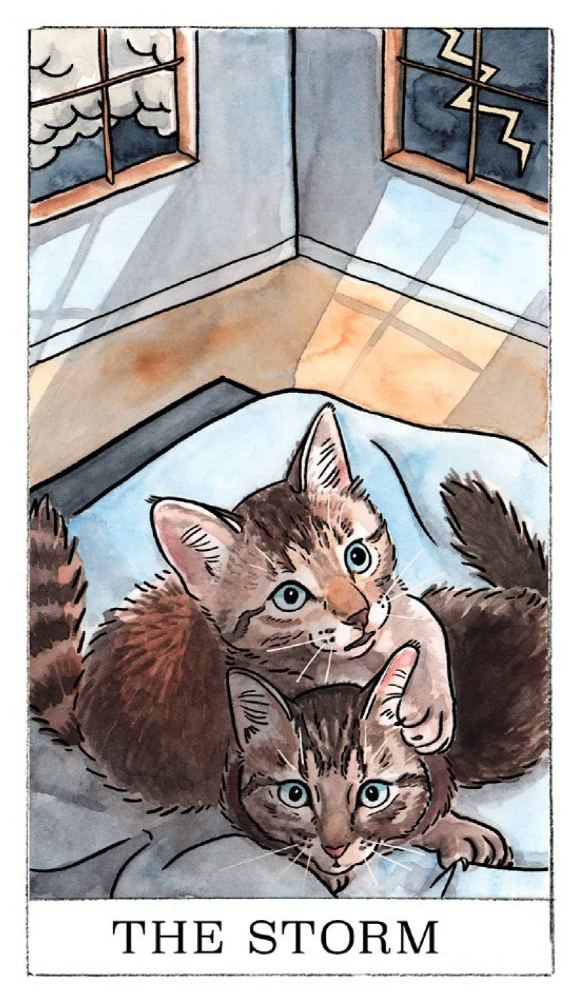 Games Room Kitten Oracle orakelkort 50 kort + guidebok