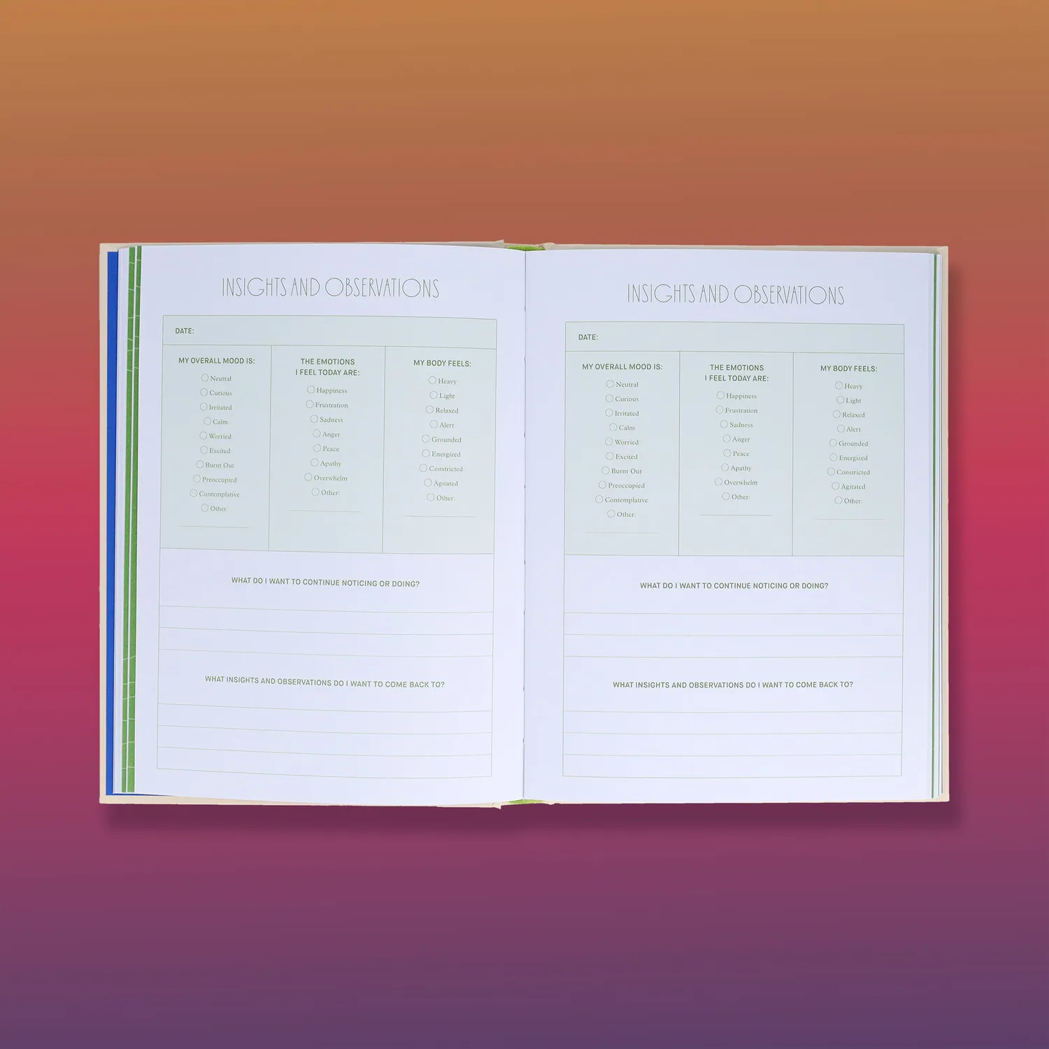 Games Room Small Doses of Awareness journal 12 veckor