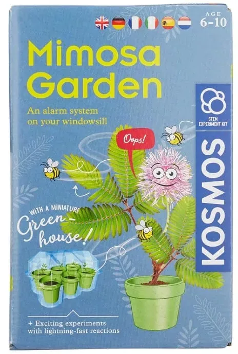 Kosmos Mimosa Garden experimentlåda odla 6 år