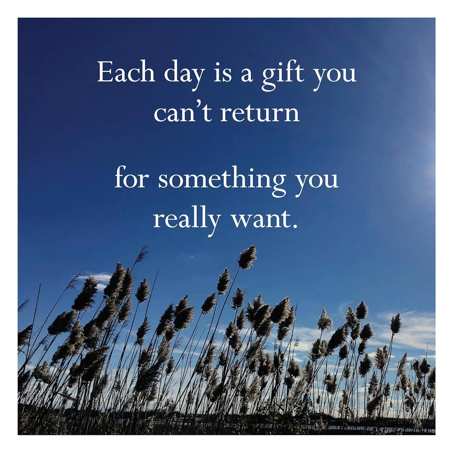 Games Room Disappointing Affirmations 2026 väggkalender humor