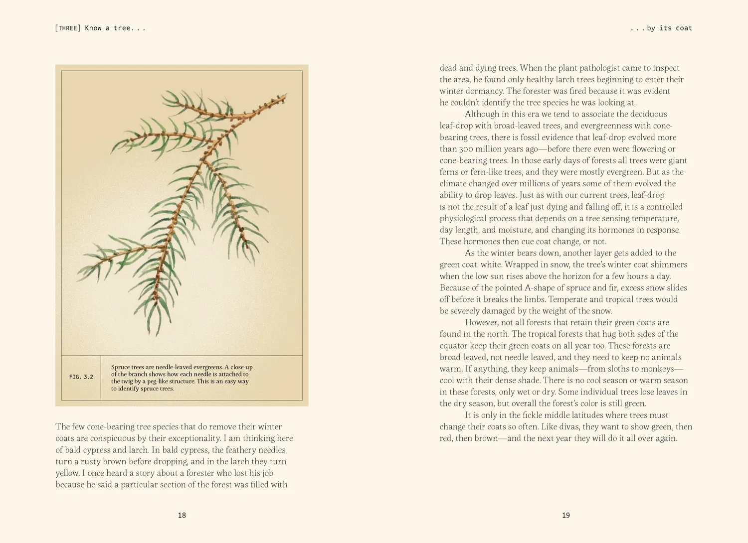 Games Room Forty Ways to Know a Tree naturbok träd