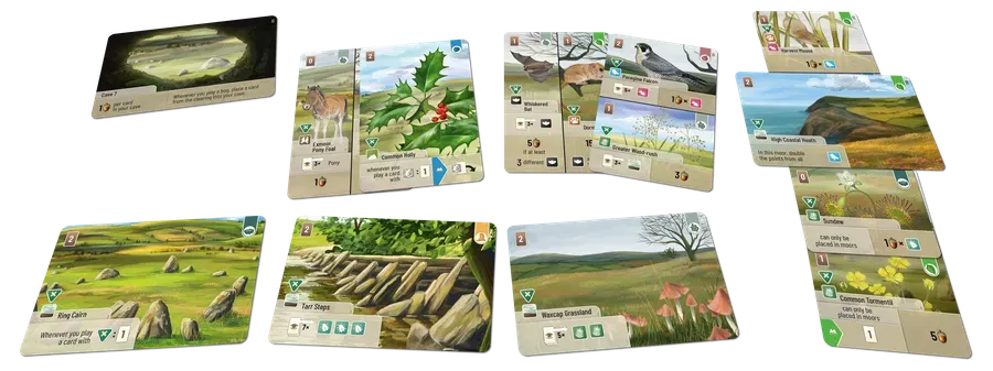 Forest Shuffle Dartmoor Exmoor expansion 55 kort 2-5 spel