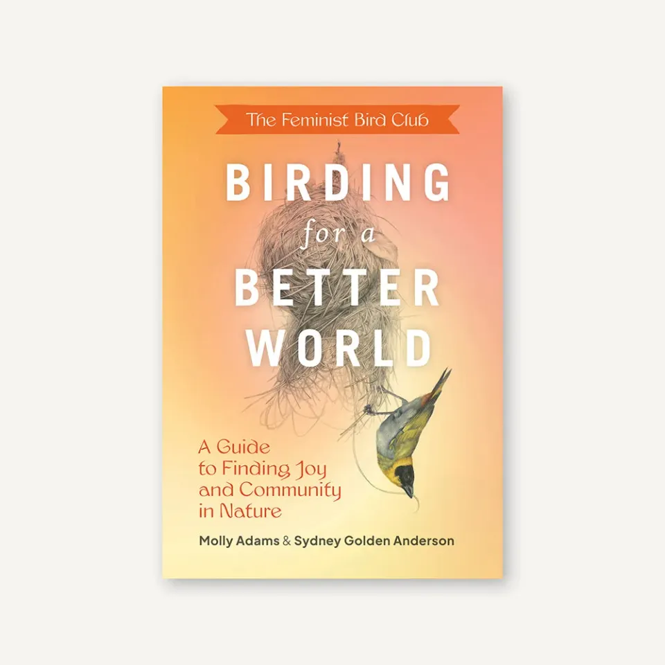 Games Room Feminist Bird Club Birding for a Better World bok fågelskådning