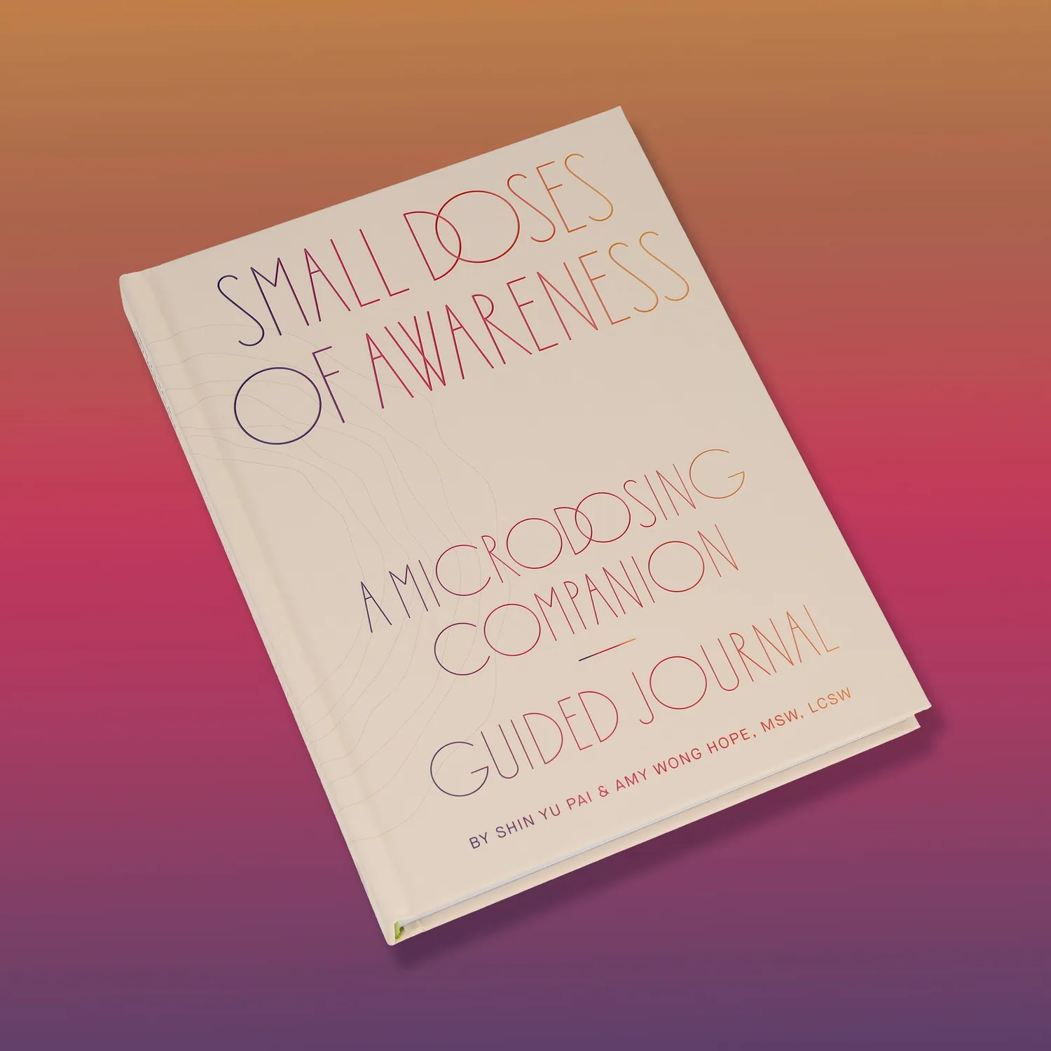 Games Room Small Doses of Awareness journal 12 veckor