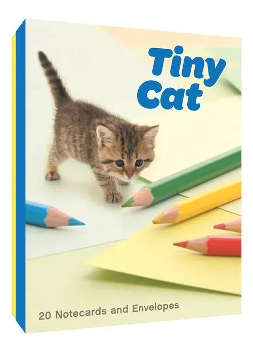Games Room Tiny Cat Notecards kortset kattmotiv