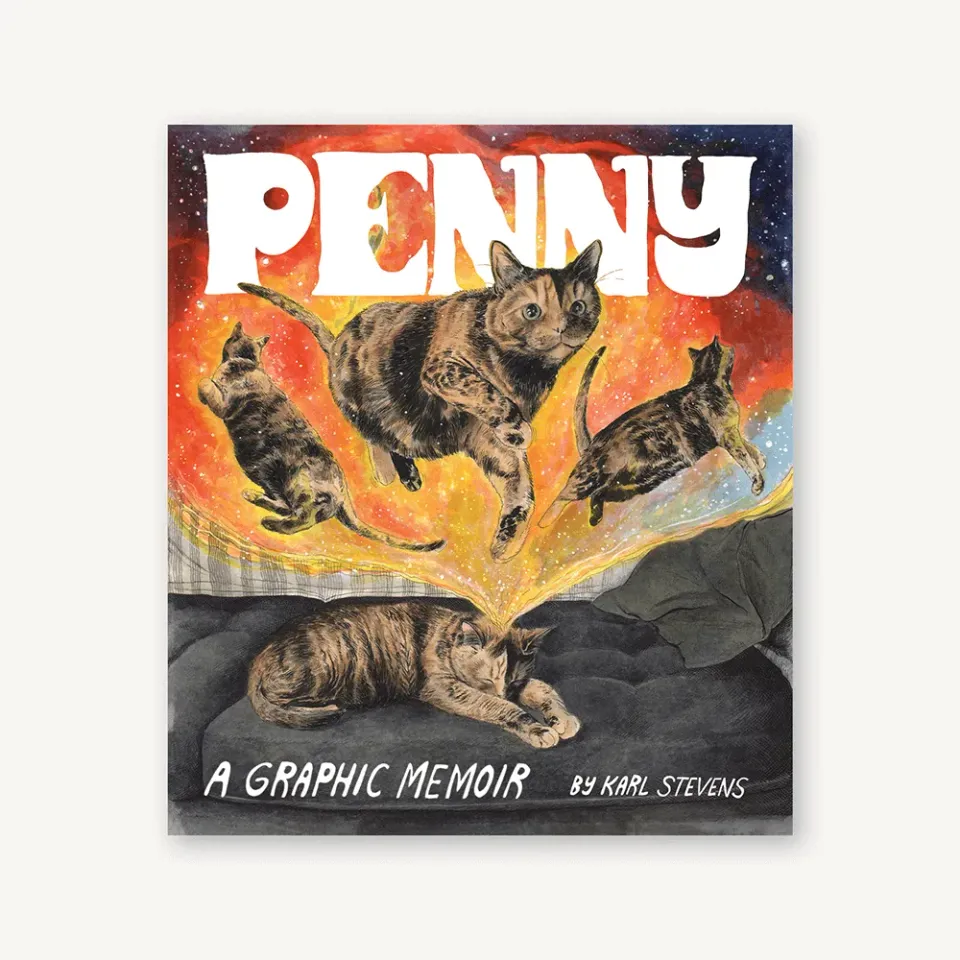 Chronicle Books Penny grafisk roman kattbok av Karl Stevens