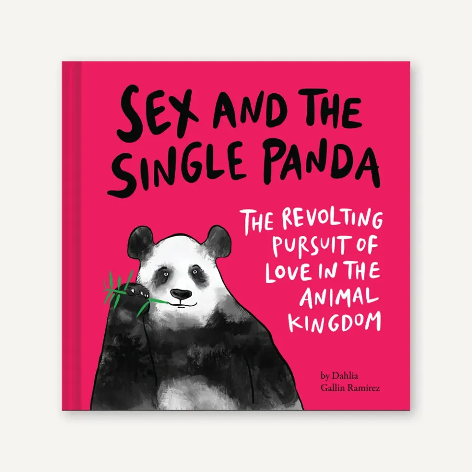 Games Room Sex and the Single Panda humorbok djurparning