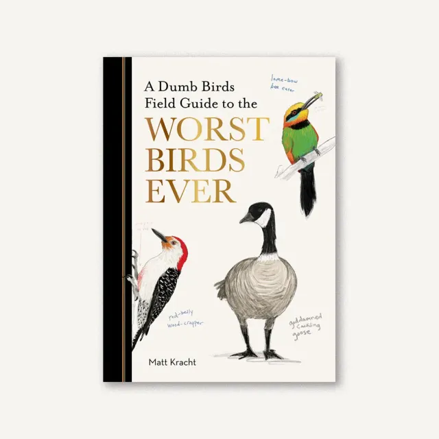 Games Room Dumb Birds Worst Birds Ever humorbok