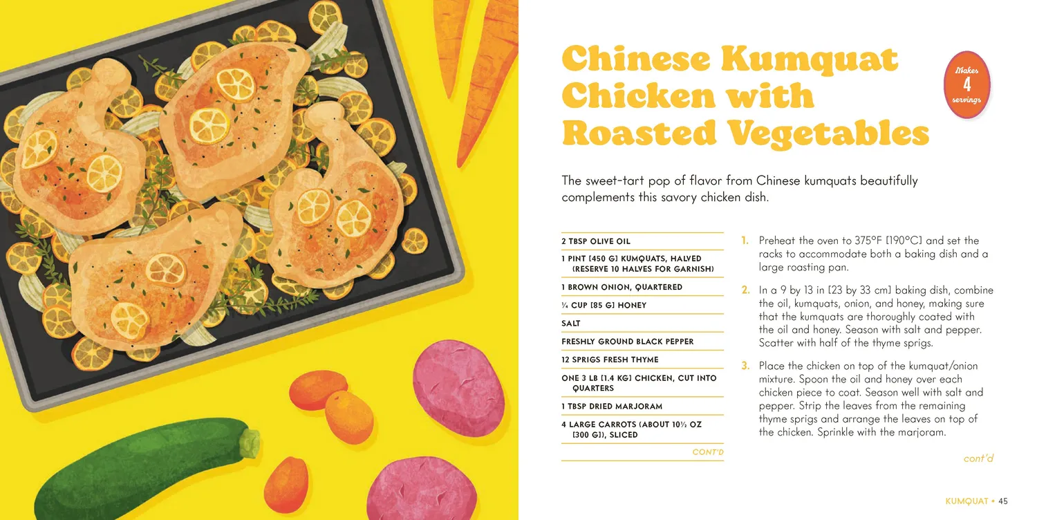 Games Room Citrus Illustrated kokbok citrus 35 recept