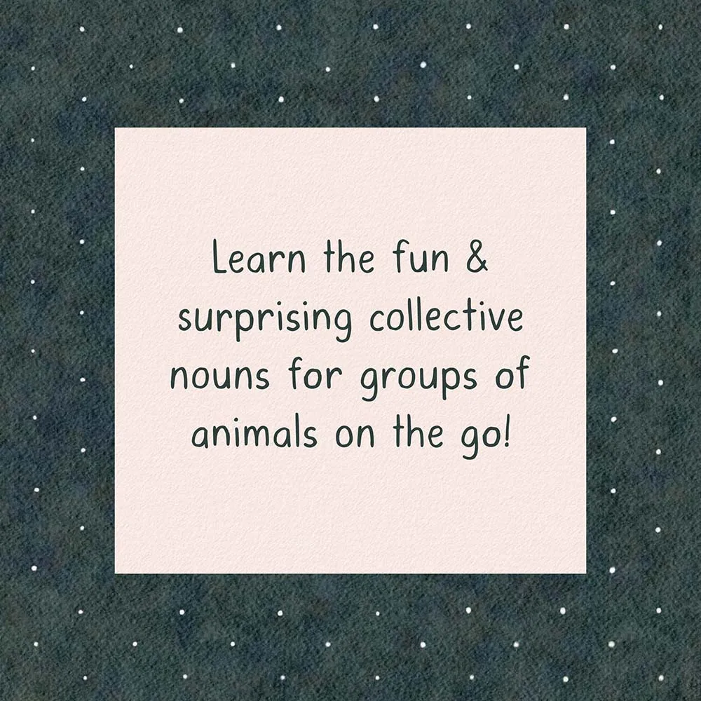 Games Room A Sleuth of Bears bilderbok djurord engelska