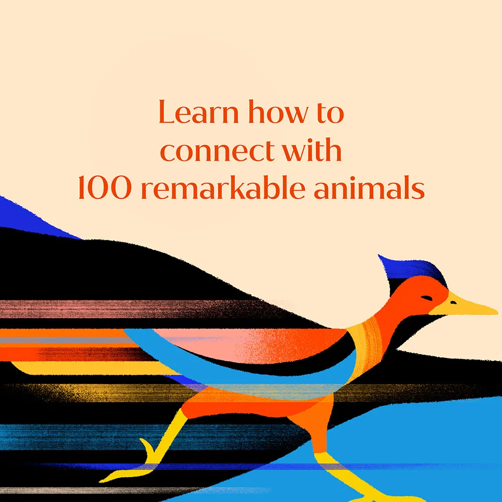 Games Room Animal Power bok 100 djur andlig guide