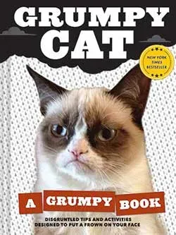 Games Room Grumpy Cat bok humor presentutgåva