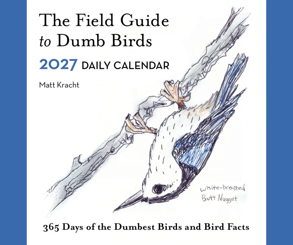 Field Guide to Dumb Birds 2027 dagkalender rolig fågelkalender