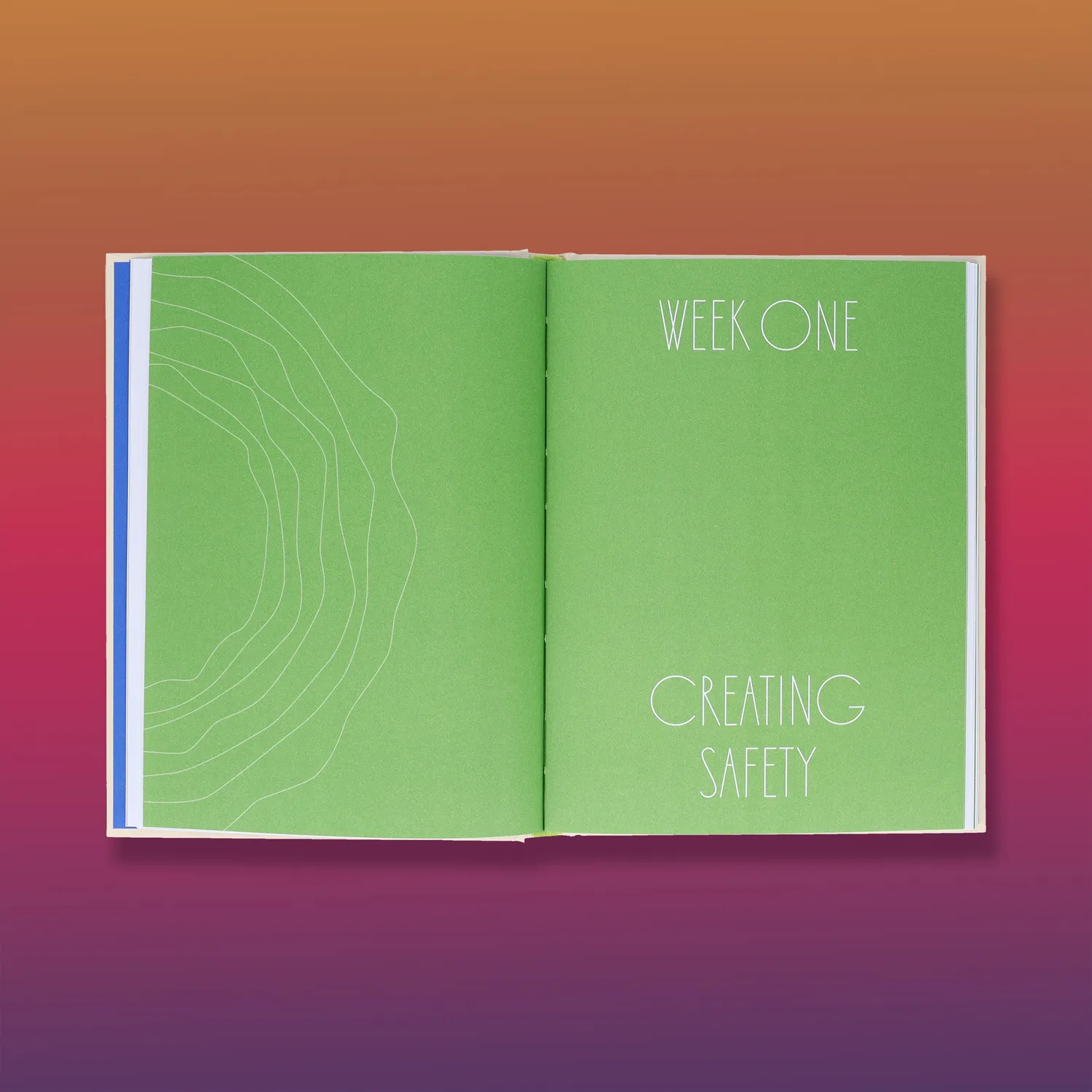 Games Room Small Doses of Awareness journal 12 veckor