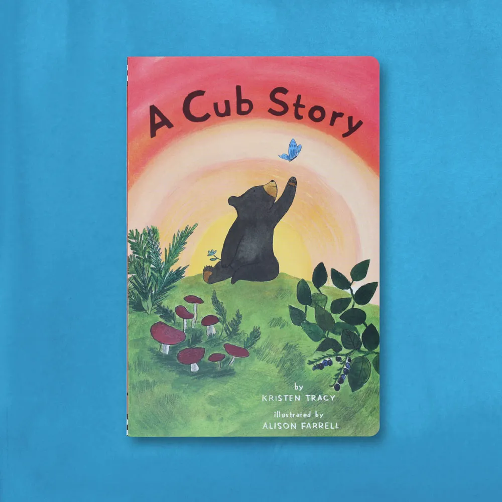 Games Room A Cub Story pekbok björnunge