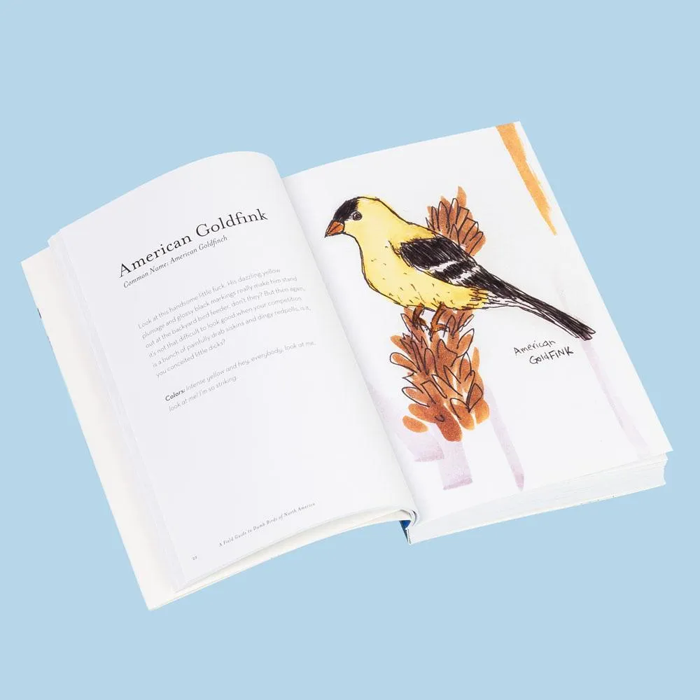 Games Room Field Guide to Dumb Birds of North America bok