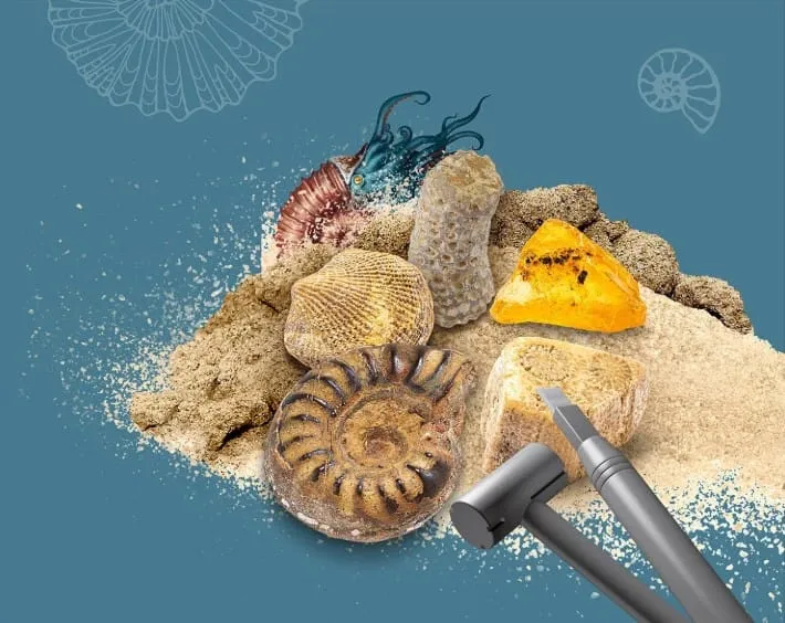 Kosmos Dig Out Fossils grävset fossil 7 år